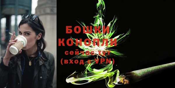 индика Сясьстрой