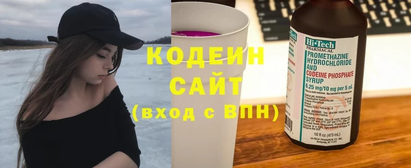 индика Сясьстрой