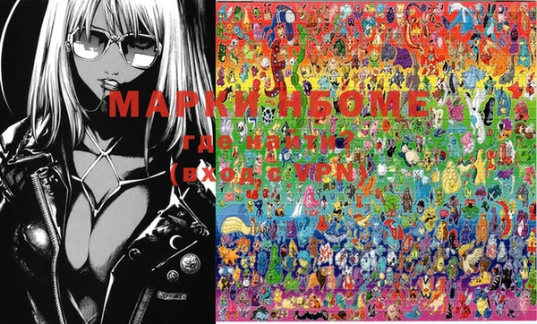 индика Сясьстрой