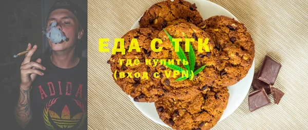 индика Сясьстрой
