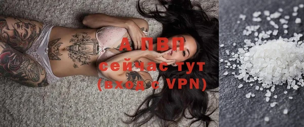 индика Сясьстрой