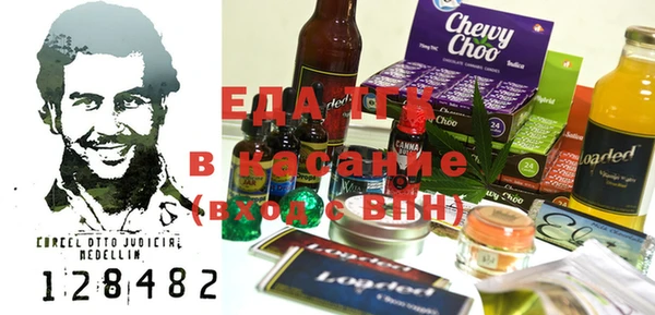 индика Сясьстрой