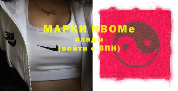 индика Сясьстрой