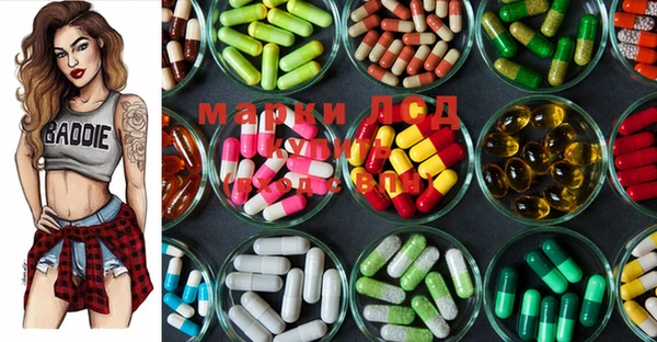 индика Сясьстрой