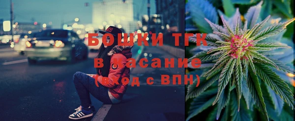 стафф Тайга