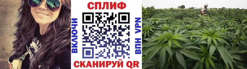 Купить где  Ясный  Бошки Шишки White Widow 